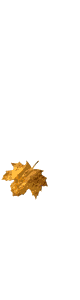 coola.gif (17251 bytes)
